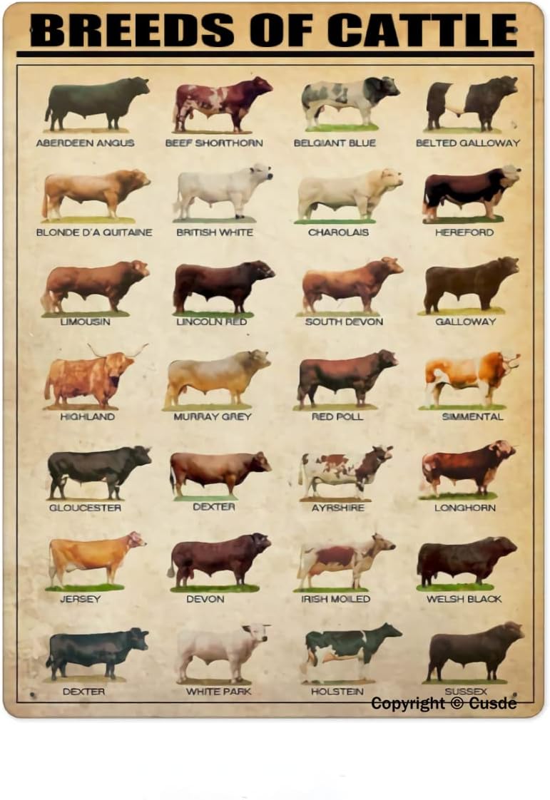 Home Bar And Restaurant - Breeds Of Cattle Metal Tin Sign